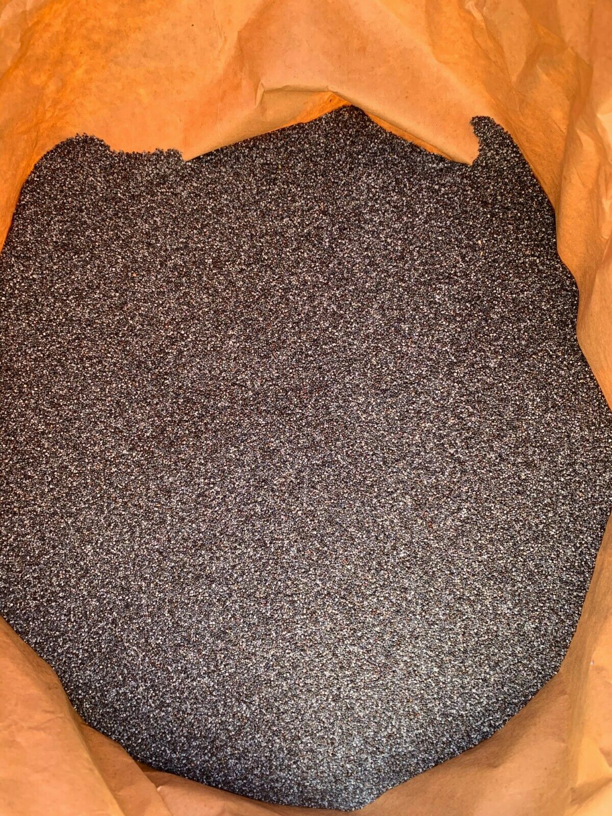 NEW HARVEST Papaver 4 Lbs Of Premium Poppy Seeds Best Seeds Out Now! A+ 4 Pounds