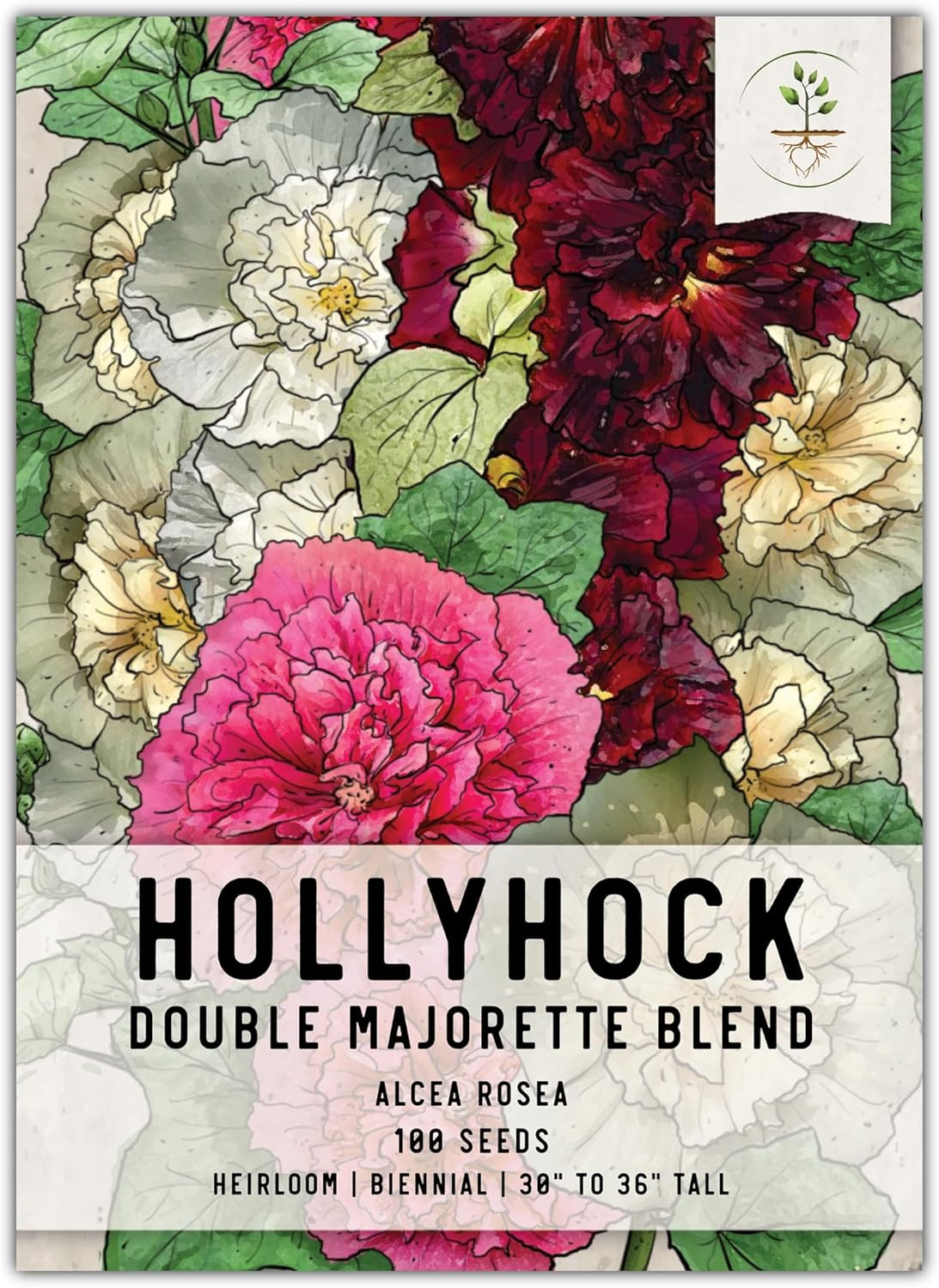 , Double Majorette Hollyhock Seeds – Heirloom Seeds for Planting Alcea Rosea – M