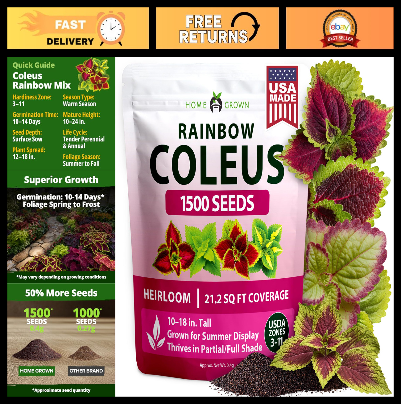 Rainbow Coleus Seeds – 1500 Count Plectranthus Scutellarioides for Indoor & Shad