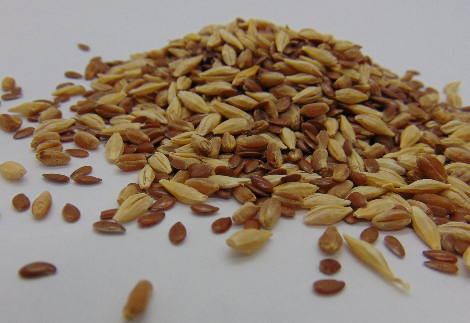 Cat Grass Mix 2 oz