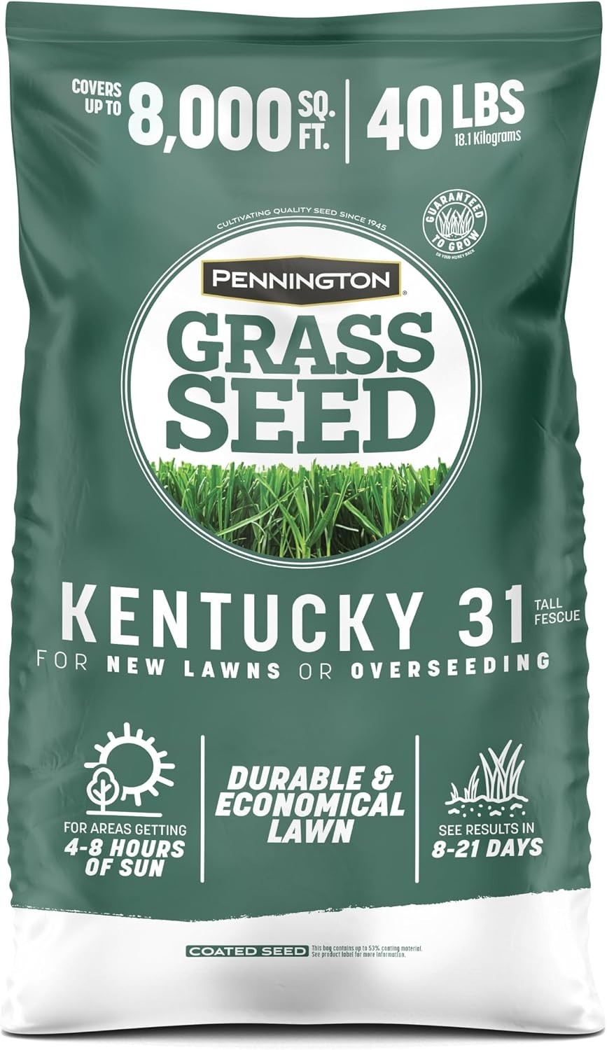 Tough Kentucky 31 Tall Fescue for Foot Traffic
