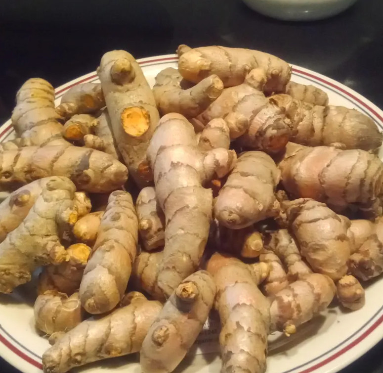 2 lbs Red USDA certified organic fresh red turmeric root
