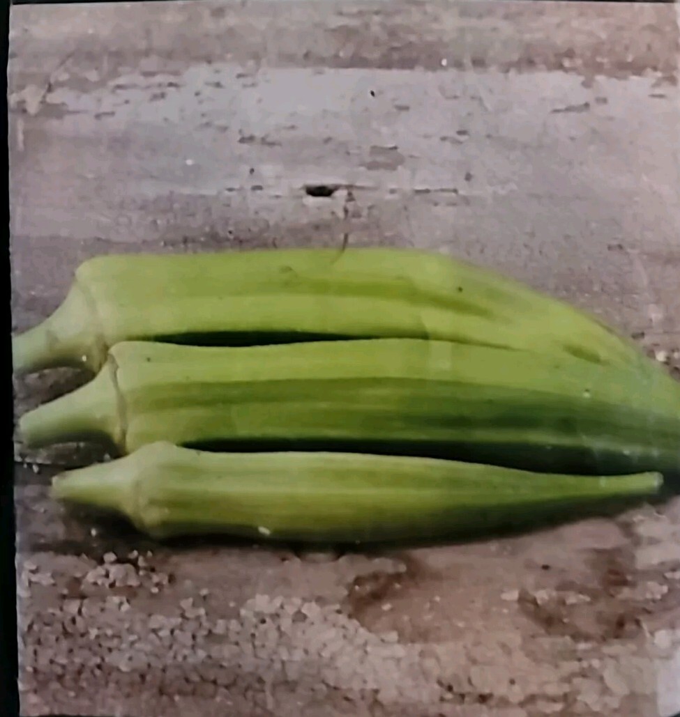 Heirloom Clemson Spineless Okra 200+ Count