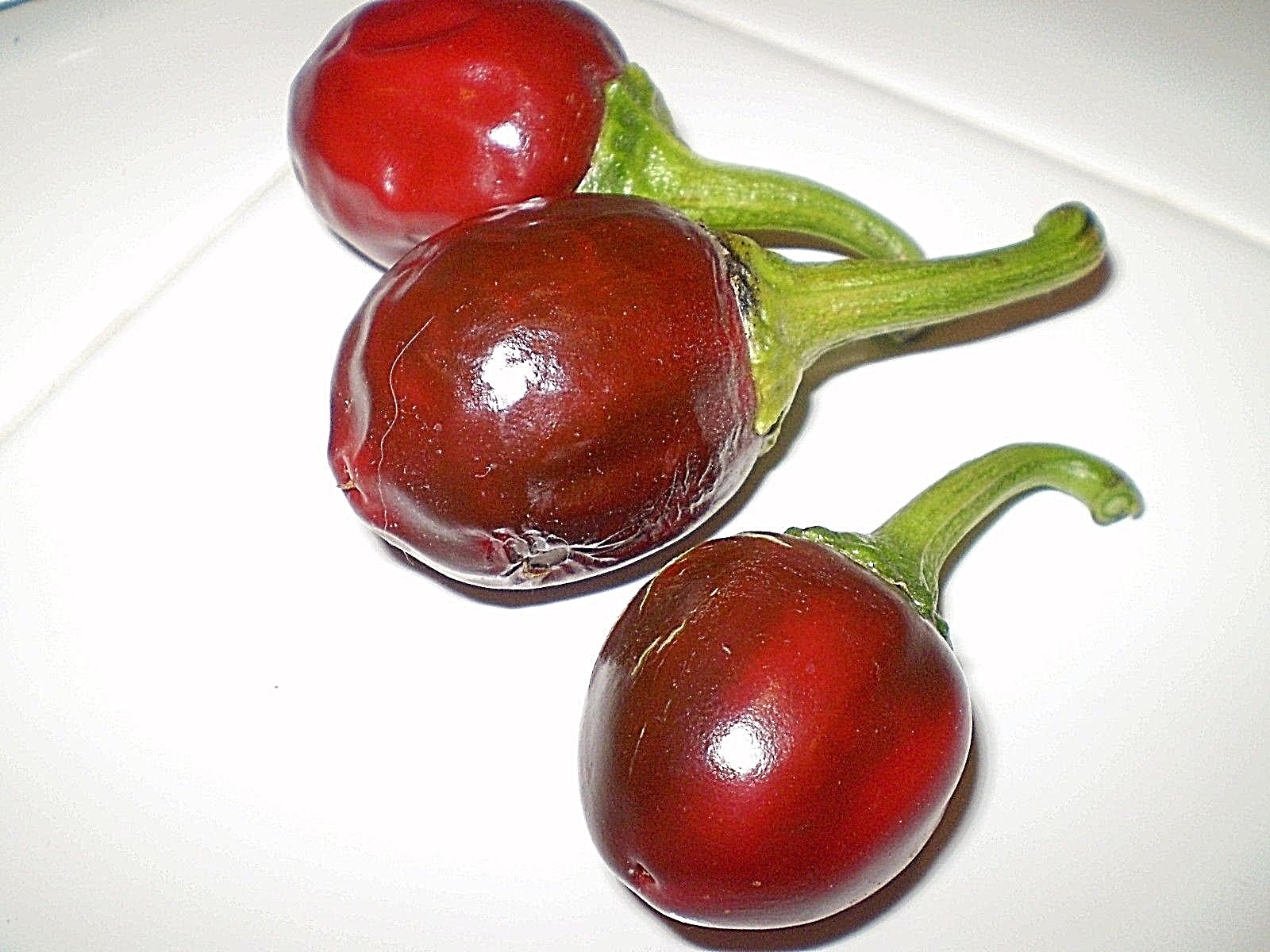 cumra cherry hot chili pepper seeds non-gmo heirloom GREAT FOR GRILLING KABOBS!