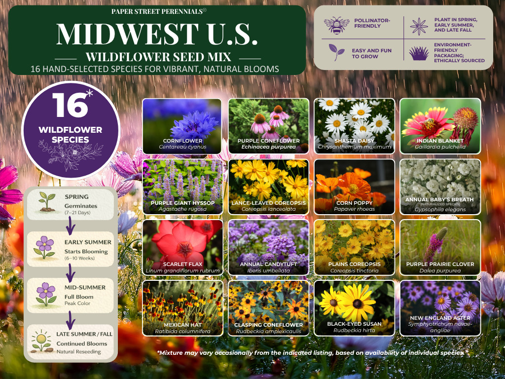 Ohio Wildflower Seed Mix 1 lb Covers 2,000 Sq Ft Pollinator Garden Seeds