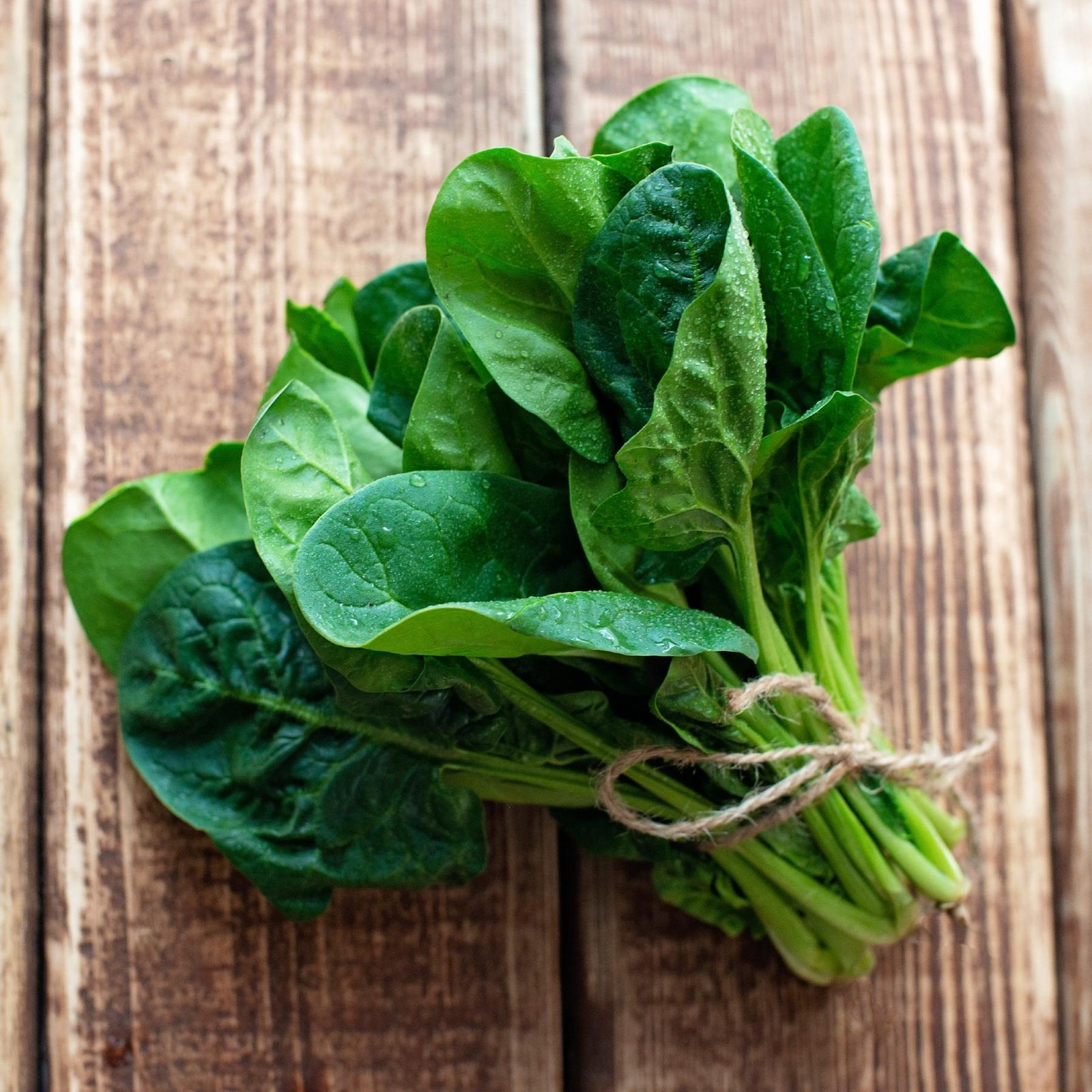Mr. Fothergill’s Spinach Seed Oh Sow Simple, Easy to Grow