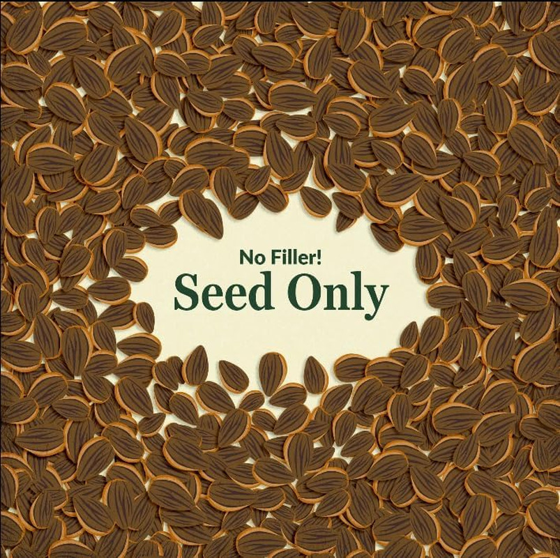 Dwarf Rainbow Colors Mix Bulk Wildflower Seeds, 1Lb