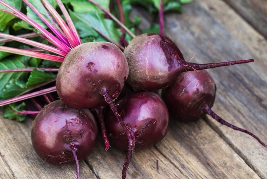 Early Wonder Beet Seeds 50 + Seeds Organic ~ Non-GMO | Fresh ~ Free Shipping