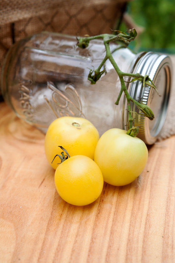 Super Snow White Heirloom Tomato Premium Seed Packet