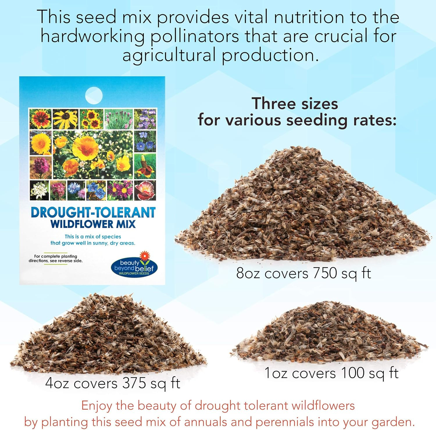 Drought Tolerant Wildflower Seeds – 4Oz Packet, Open-Pollinated Bulk Flower Seed