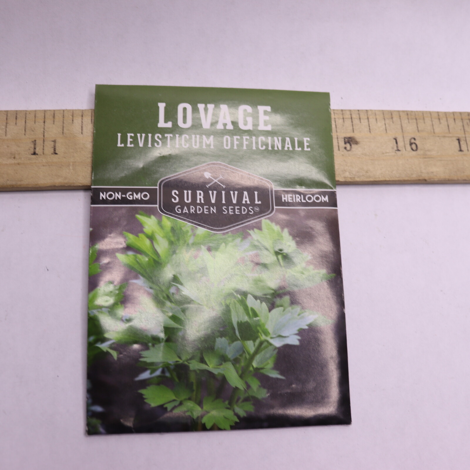 Survival Garden Lovage Seeds Non-GMO Heirloom Full Sun Perennial Herb