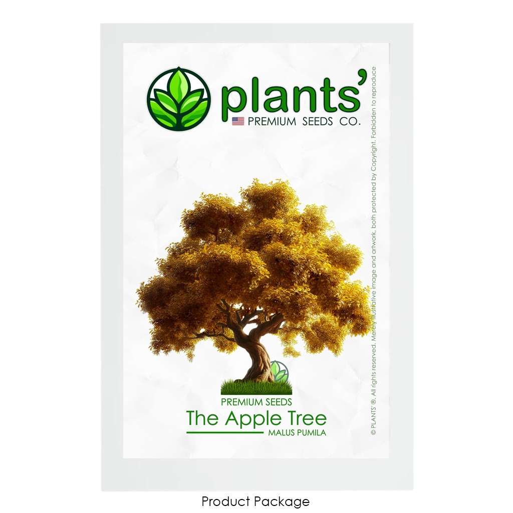 The Apple Tree | Premium Seeds | Malus pumila ‘Fall’ | Plants’®