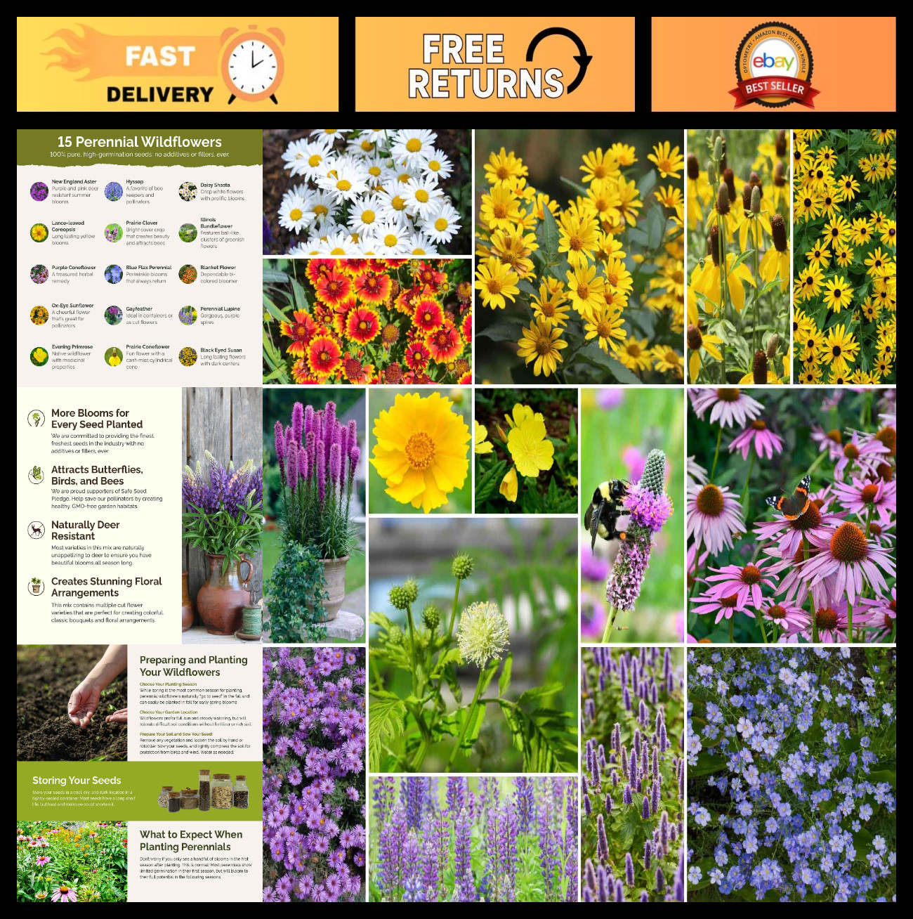 Perennial Wildflower Seed Mix – 120,000+ Seeds for Planting, Attracts Pollinator