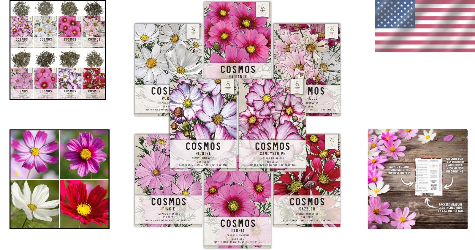 Plant 250 Cosmos Heirloom Flower Seeds – Create Stunning Summer to Fall Blooms