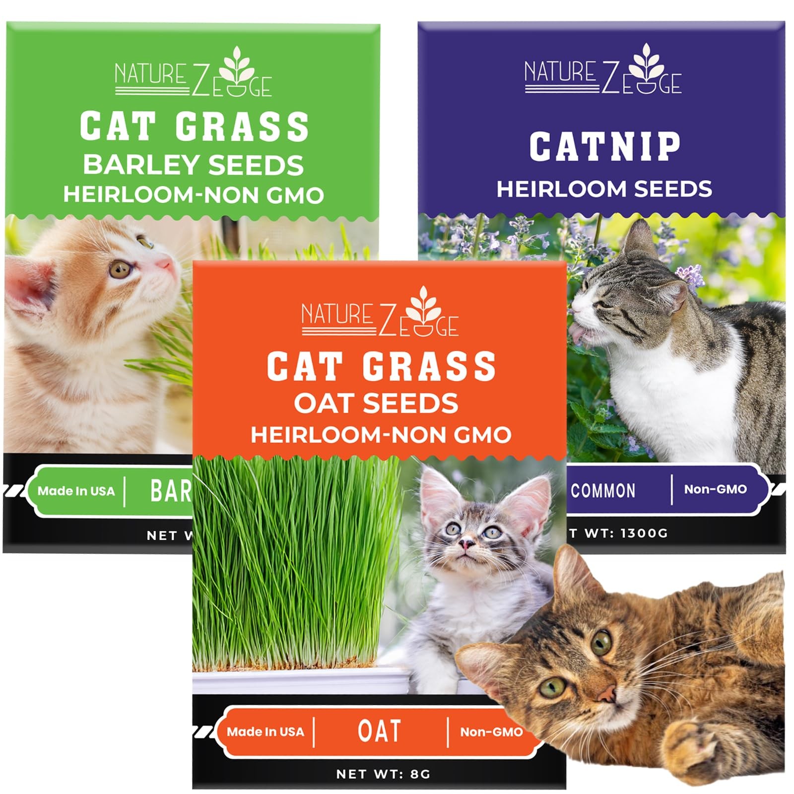 Cat Grass Seeds & Catnip Seeds – 3 Pack Variety Kit, Cat Grass for Indoor Cats