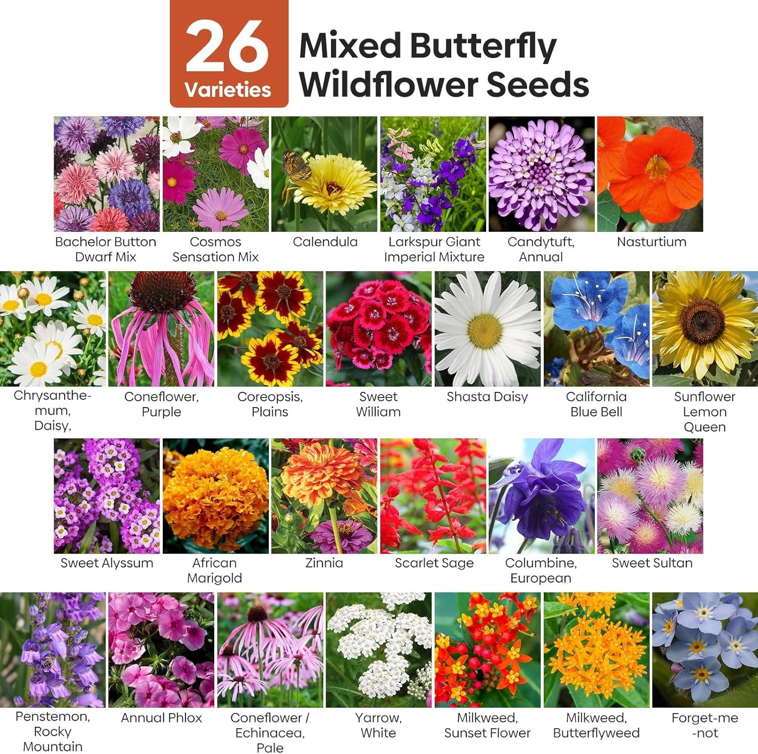 All Perennial Wildflower Seeds Bulk, 1/4 Lb, 100,000+ Seeds, 26 Variety Mix