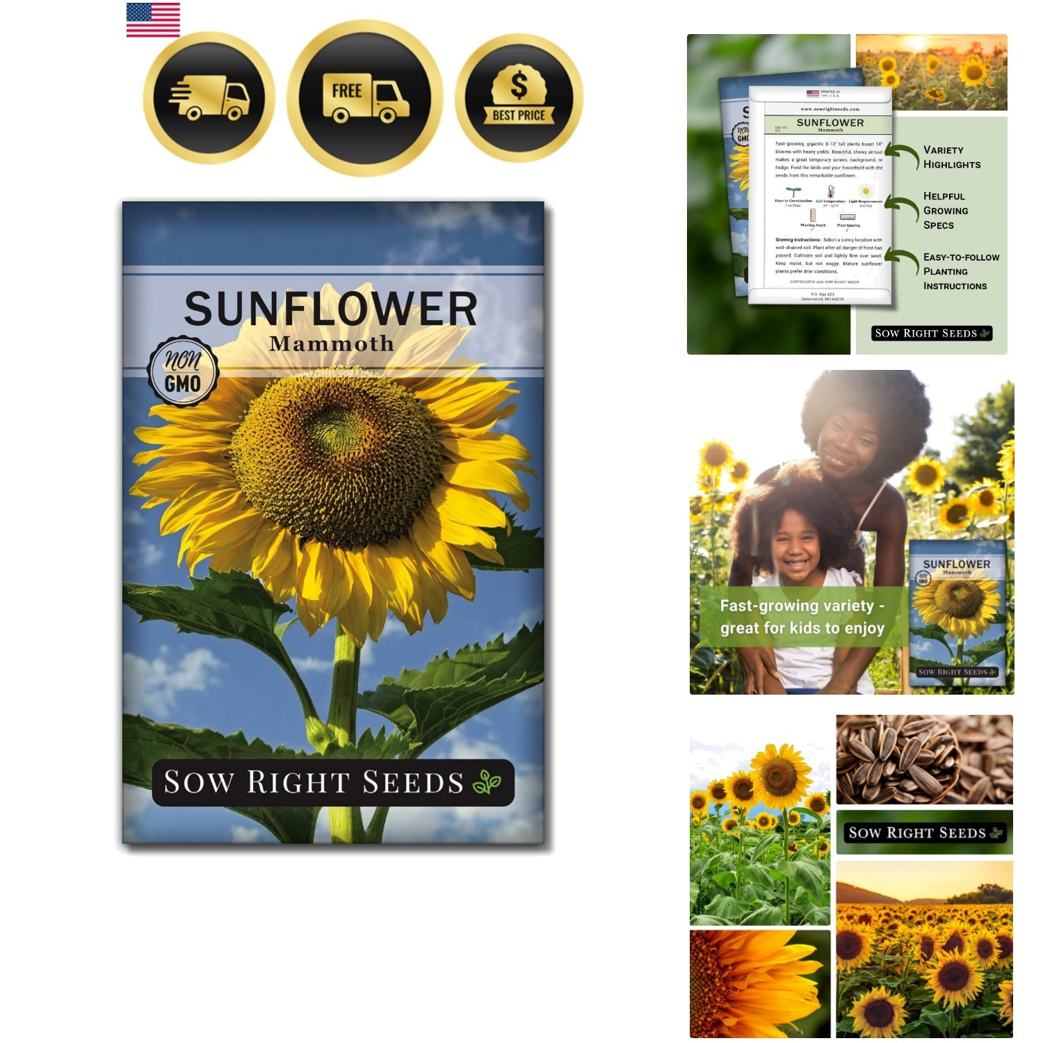 Mammoth Sunflower Seeds to Plant – Grow Giant Sunflowers in Your Garden – Non…