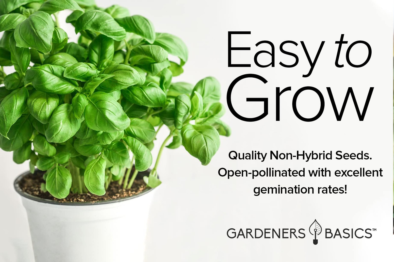 , Basil Seeds for Planting Home Garden Herbs – 5 Variety Herb Pack Thai, Lemo…