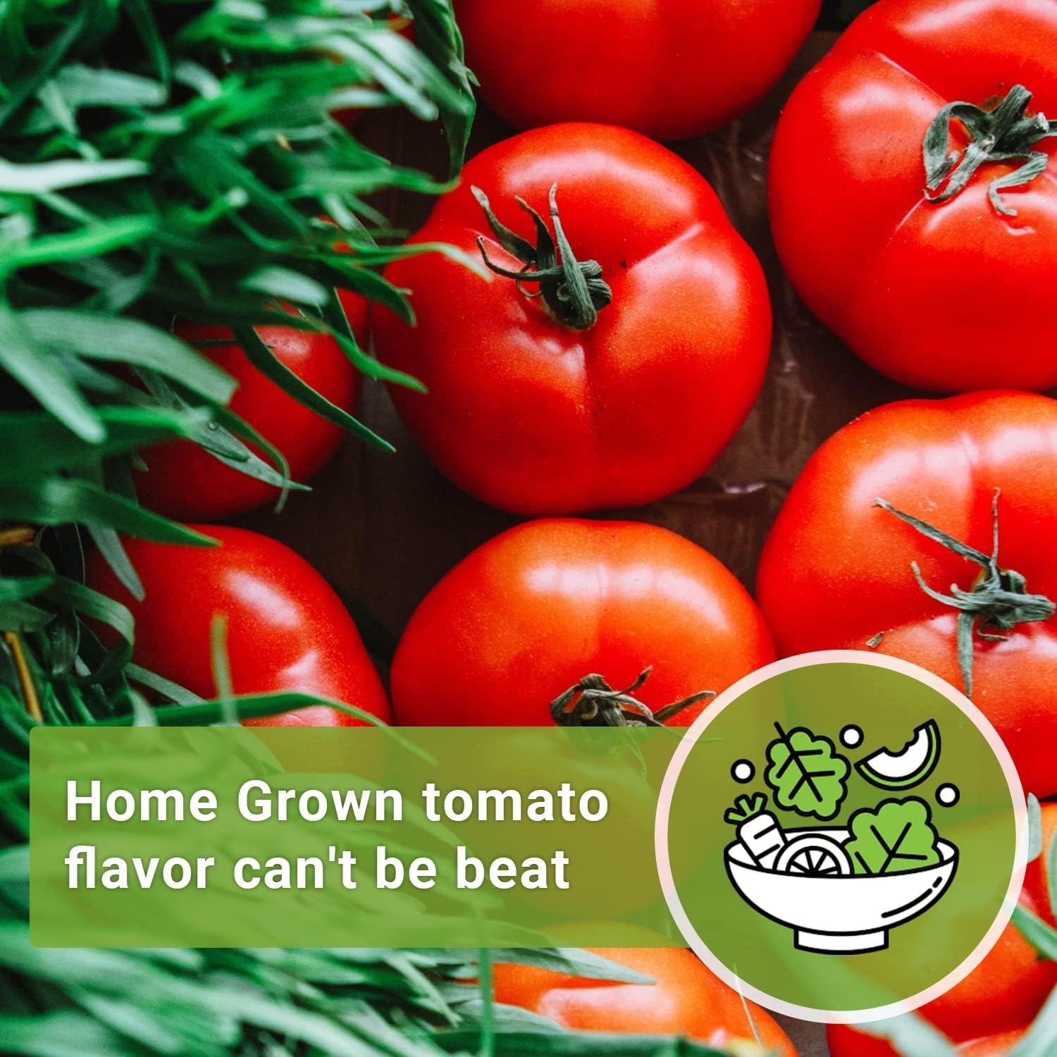 Beefsteak Tomato Seeds for Planting – Non-GMO Heirloom Packet with Instructio…