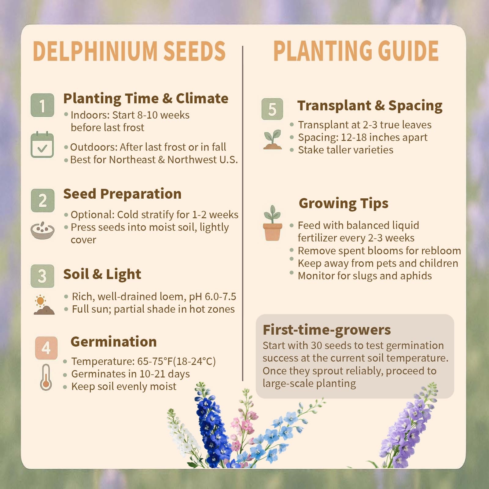 Mixed Color Rocket Larkspur Delphinium Consolida ajacis Seeds 2 Pack