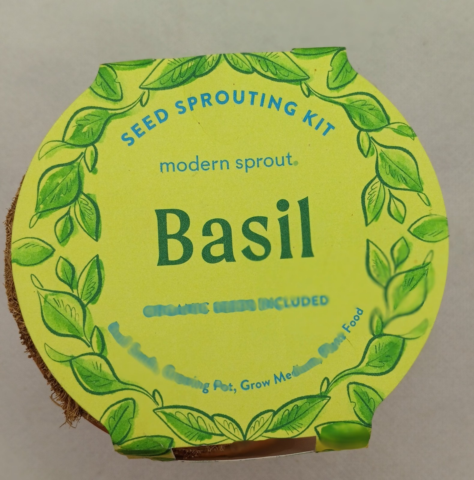 Modern Sprout Seed Sprouting Kit basil organic Seeds Growing Pot, new