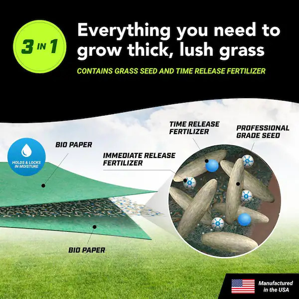50 sq. ft. Quick Fix Year Round Green Mixture