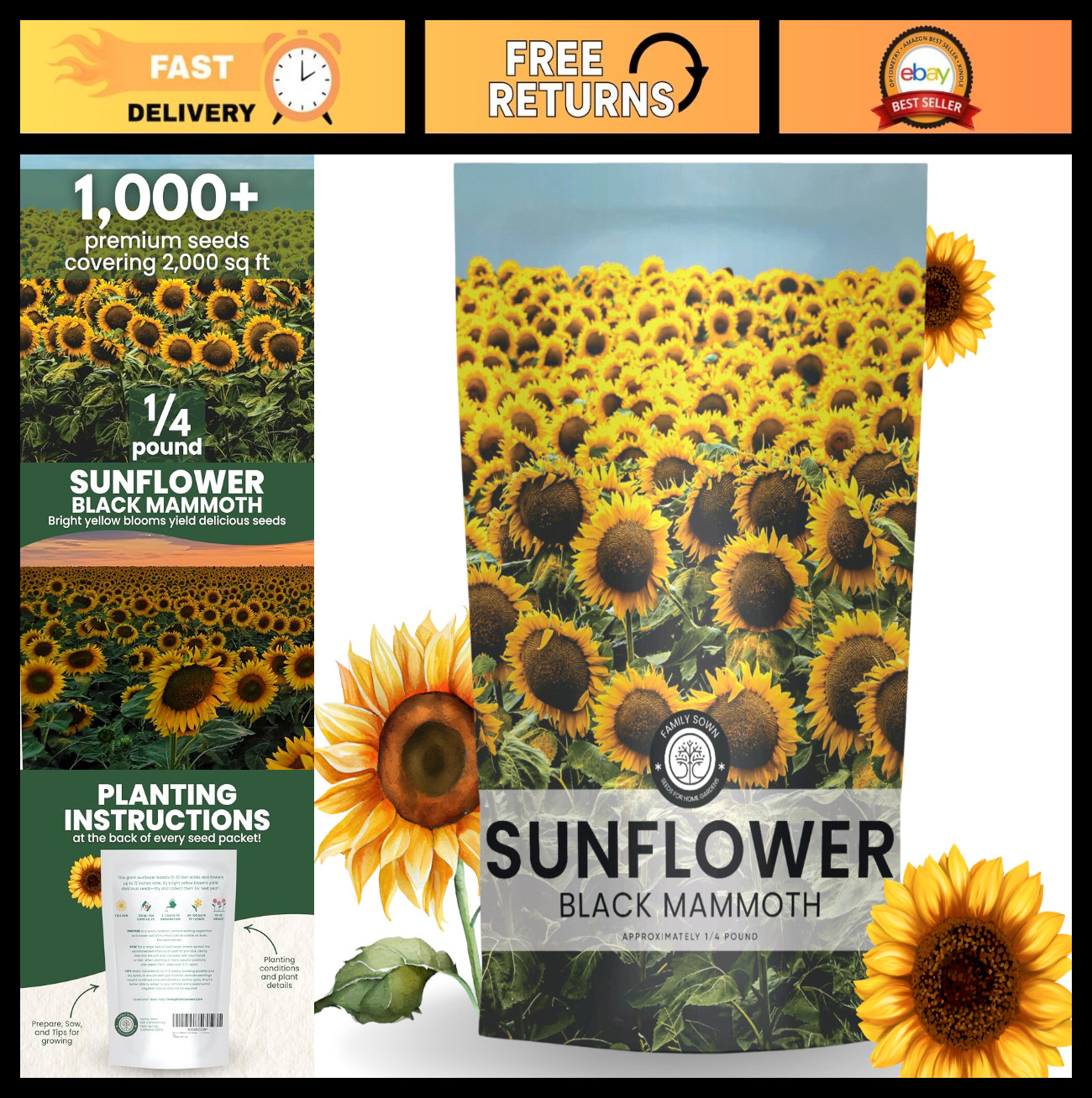 Bulk 1/4 lb Black Mammoth Sunflower Seeds – 1,000 Premium Flower Seeds for Plant