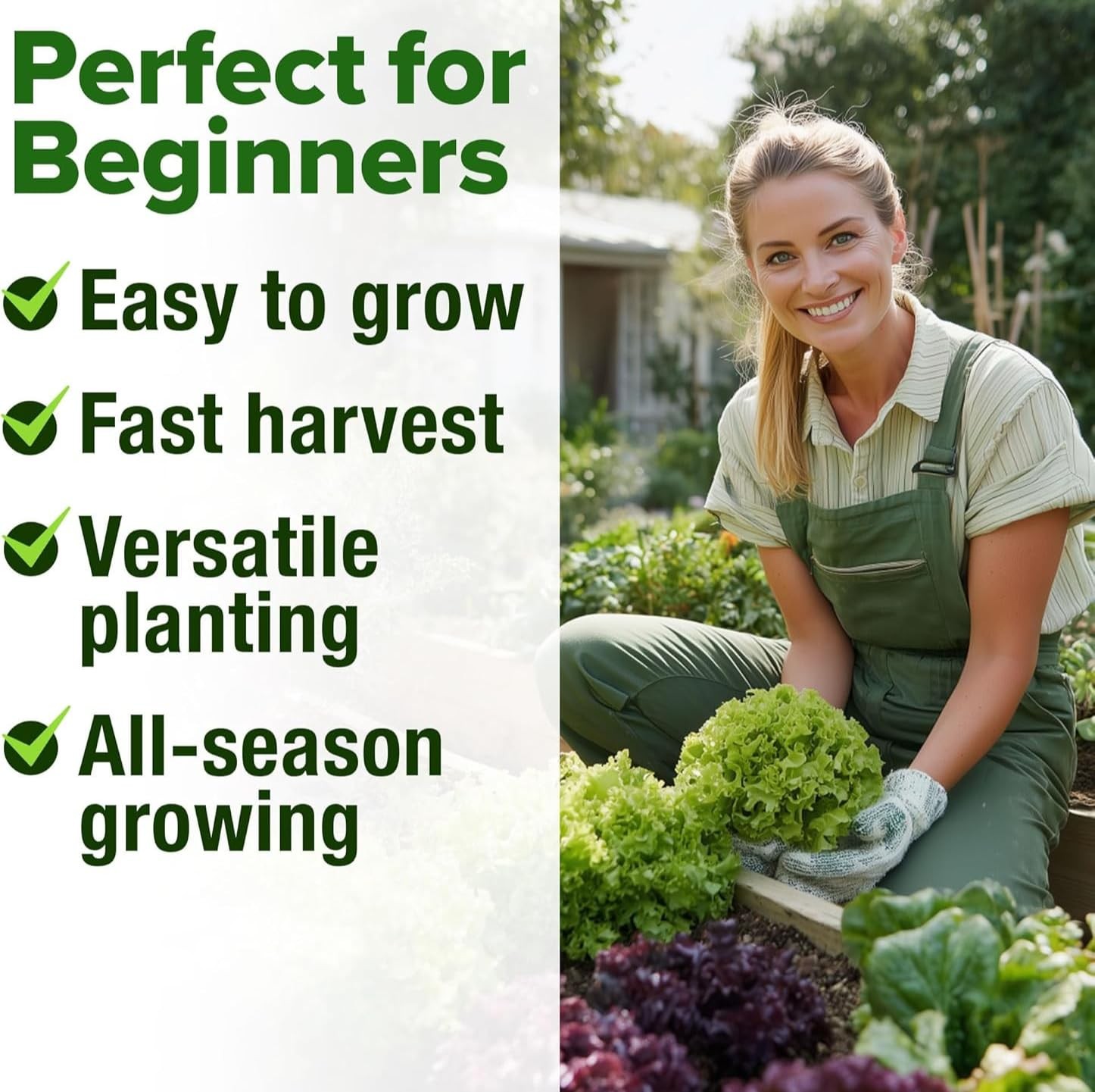 HOME GROWN 11,500+ Heirloom Lettuce Seeds 10 Varieties Including Romaine, Bu…