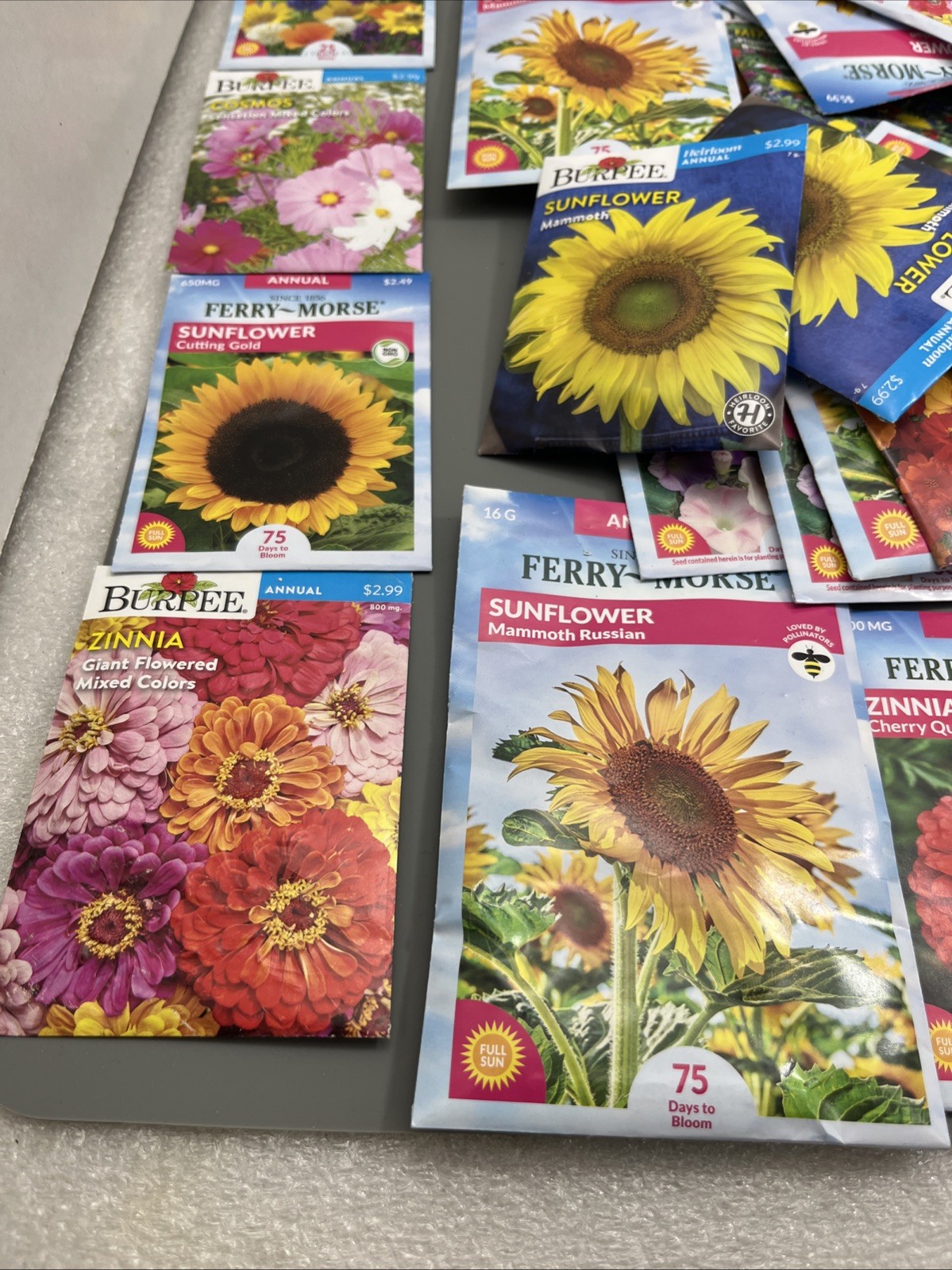 Flowers &Vegetable Plant Seeds (Assorted Lot of 100) sell by 11/26 Garden