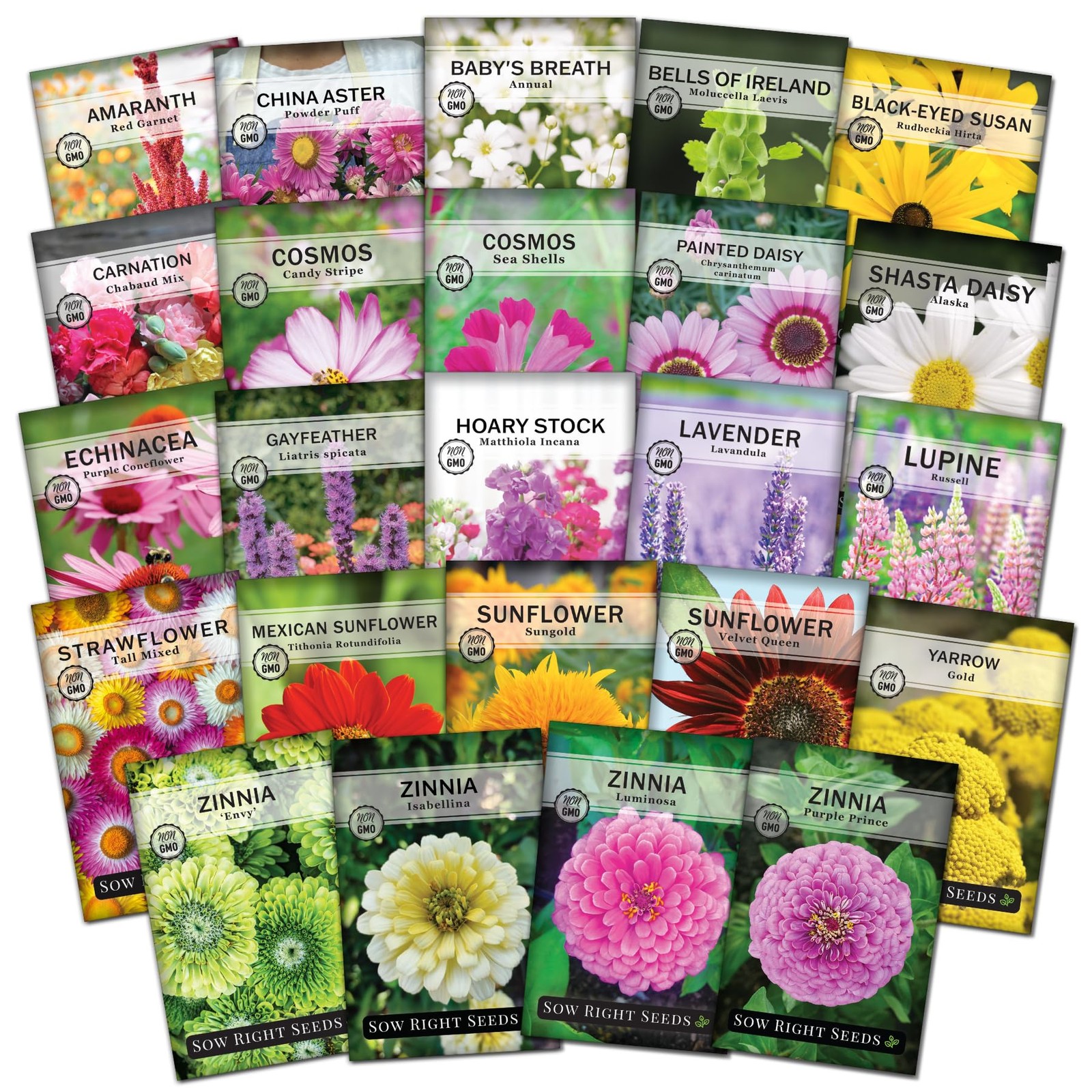 – Large Flower Farm Collection for Planting – Zinnias, Sunflowers, Daisies, C…