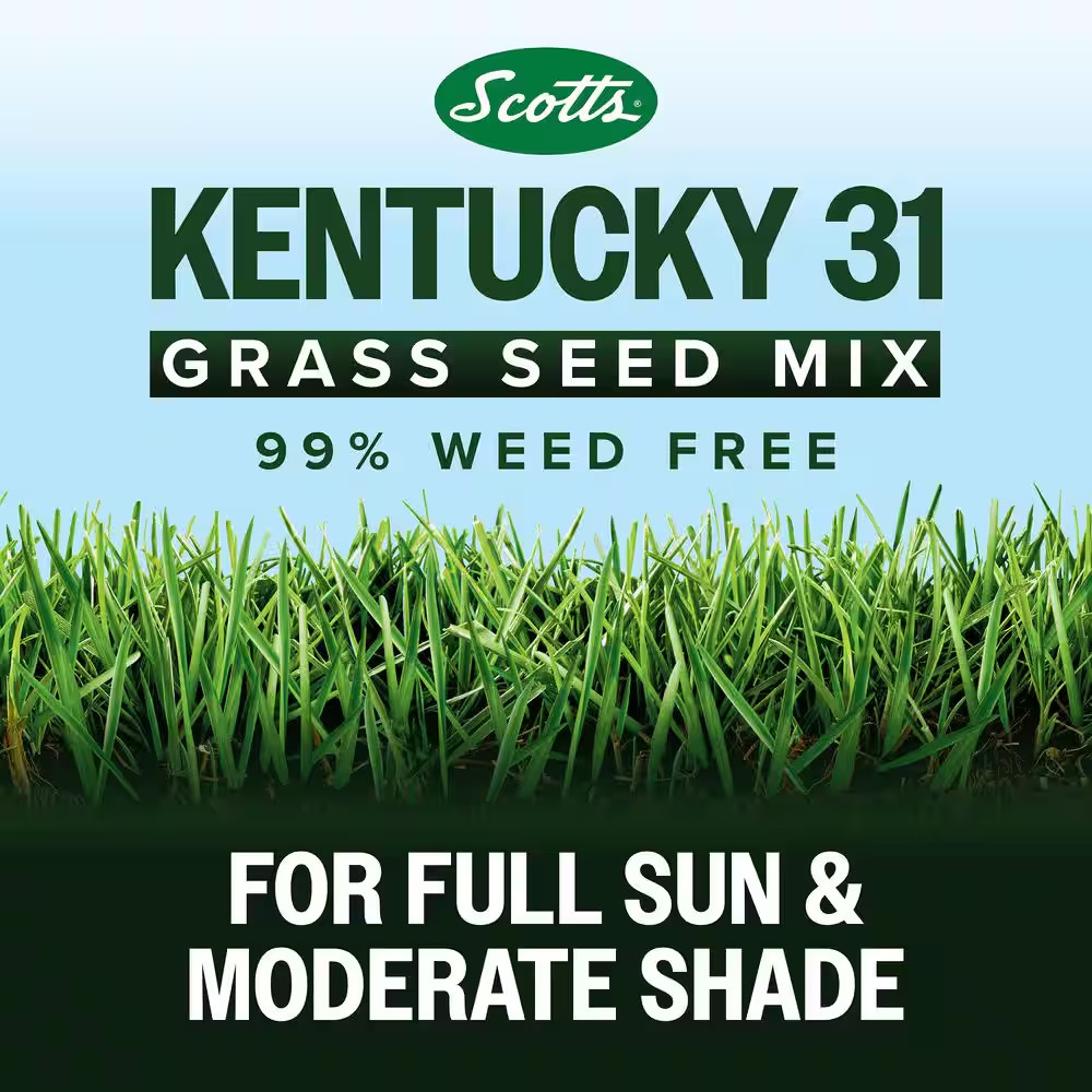 Kentucky 31 Grass Seed Mix 20 Lbs. for New Lawns or Overseeding