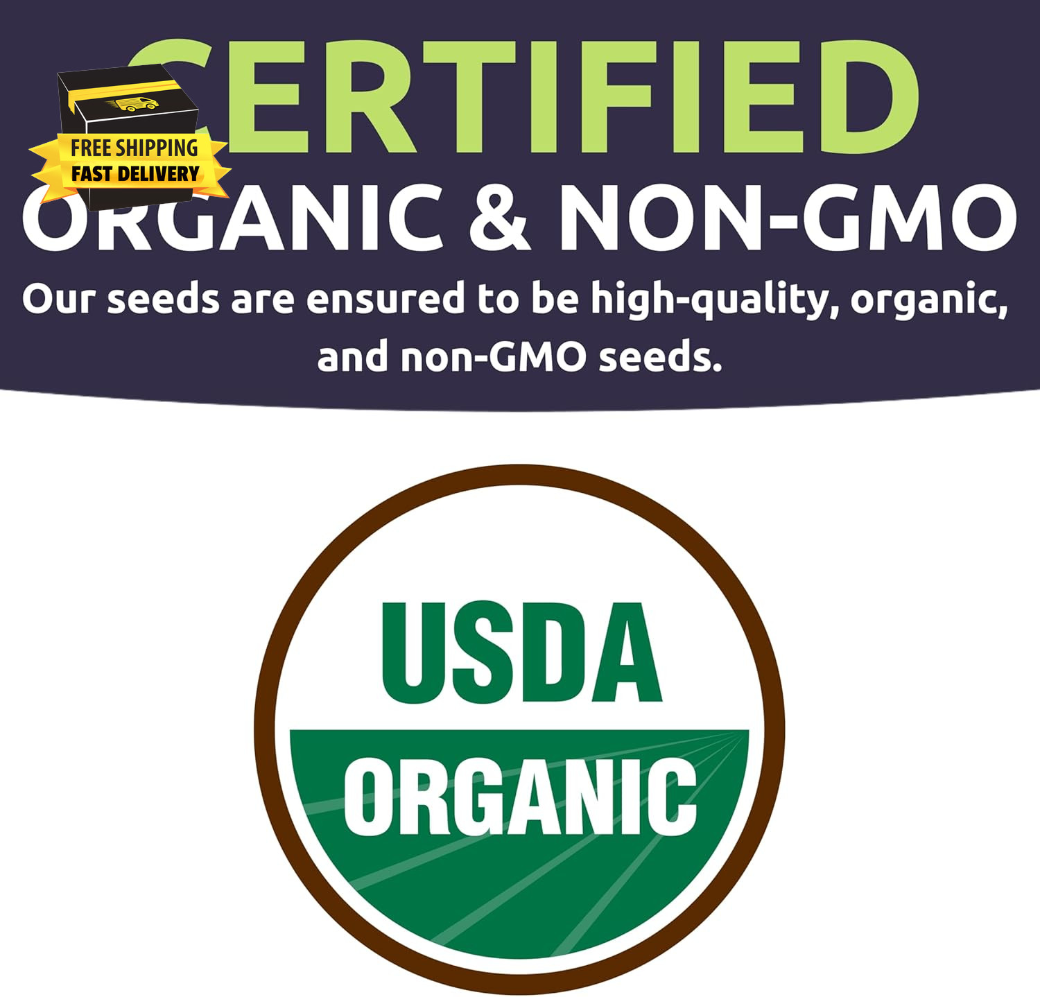 Organic Tomato Seeds Variety Pack – 5 Individual Packs – 2026 Season – Roma, Pin