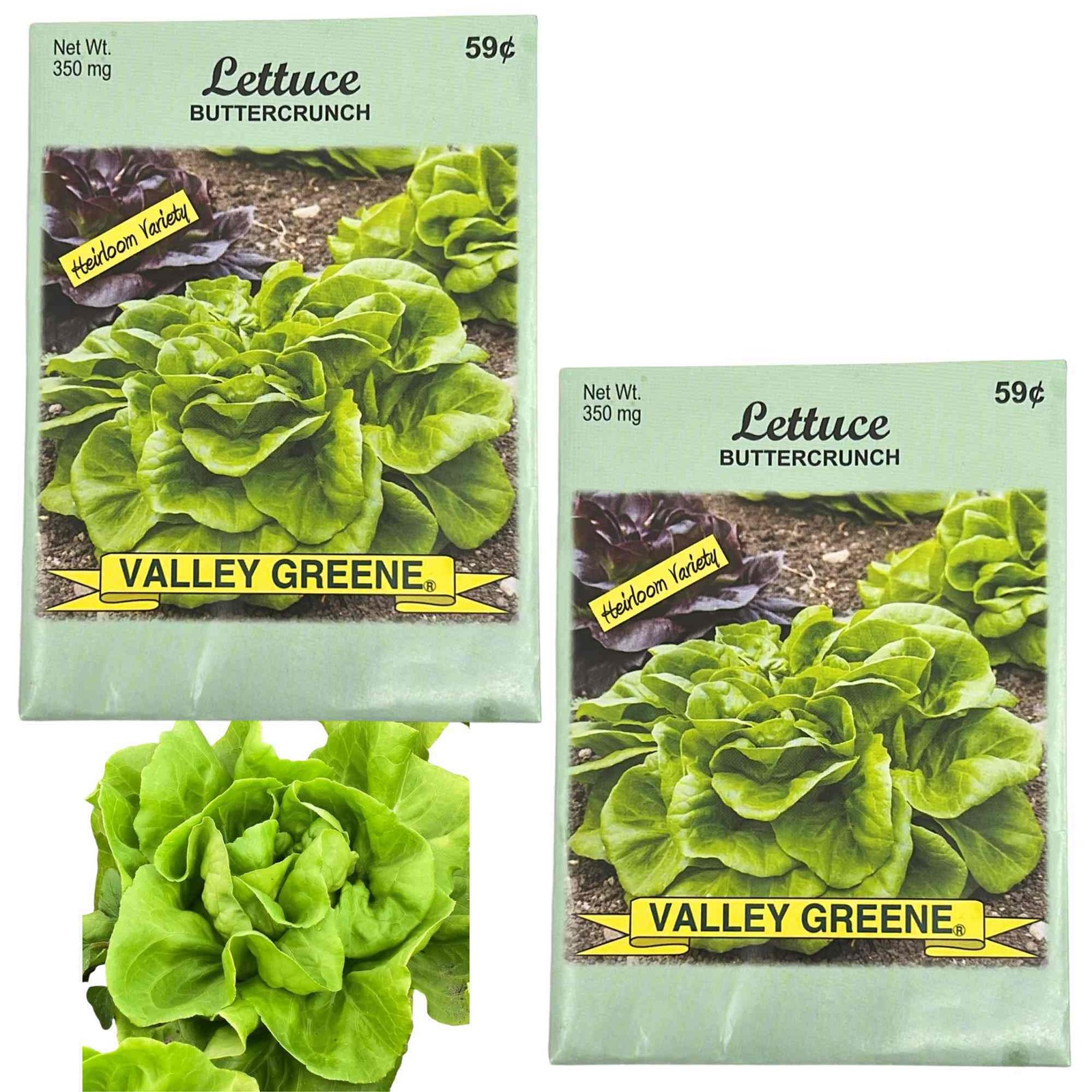 Valley Greene 350g Lettuce Buttercrunch Seeds: 2 Pack
