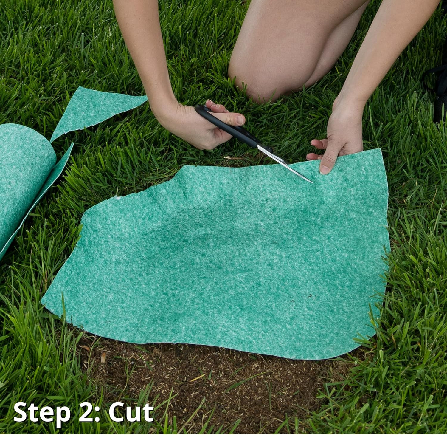 (10410) Black Beauty Seedroll Grass Seed Mat – Cool Season Lawn Seed, Fertilizer