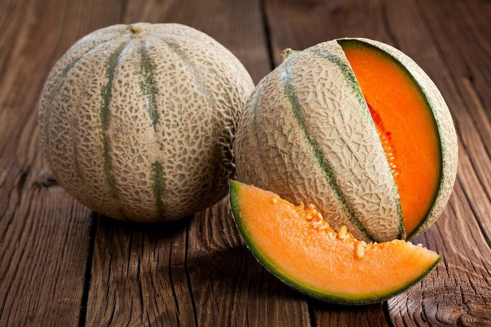 75 Heirloom Honey Rock Cantaloupe Seeds – Prize Winning Melon! – SUPER Sweet!