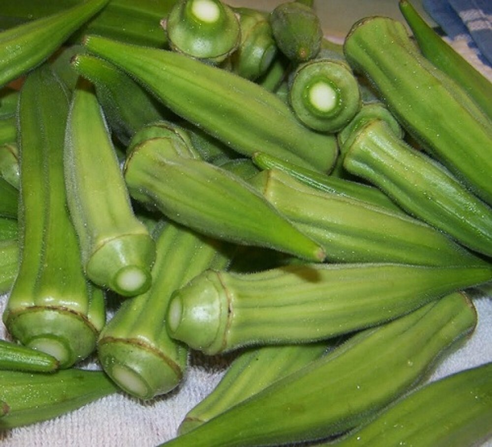 Bulk 4 oz SEEDS OKRA CLEMSON SPINELESS 80 HEIRLOOM NON GMO