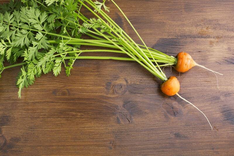 Tonda di Parigi Carrot Seeds