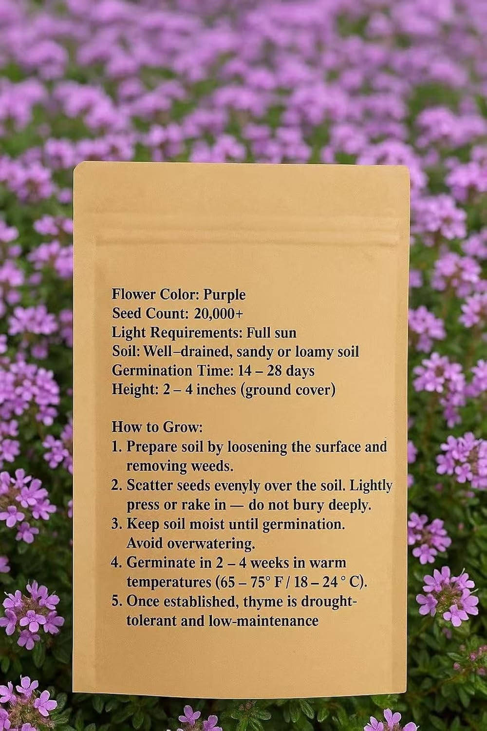 20000+ Creeping Thyme Seeds for Planting -Perennial Ground Cover Plants Flowers