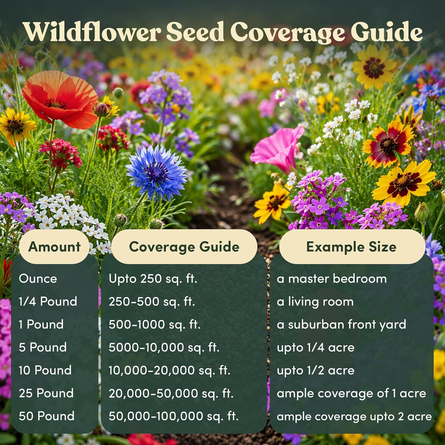 Wildflower Seed Shaker – 300,000+ Annual Mix Seeds for Pots & Gardens