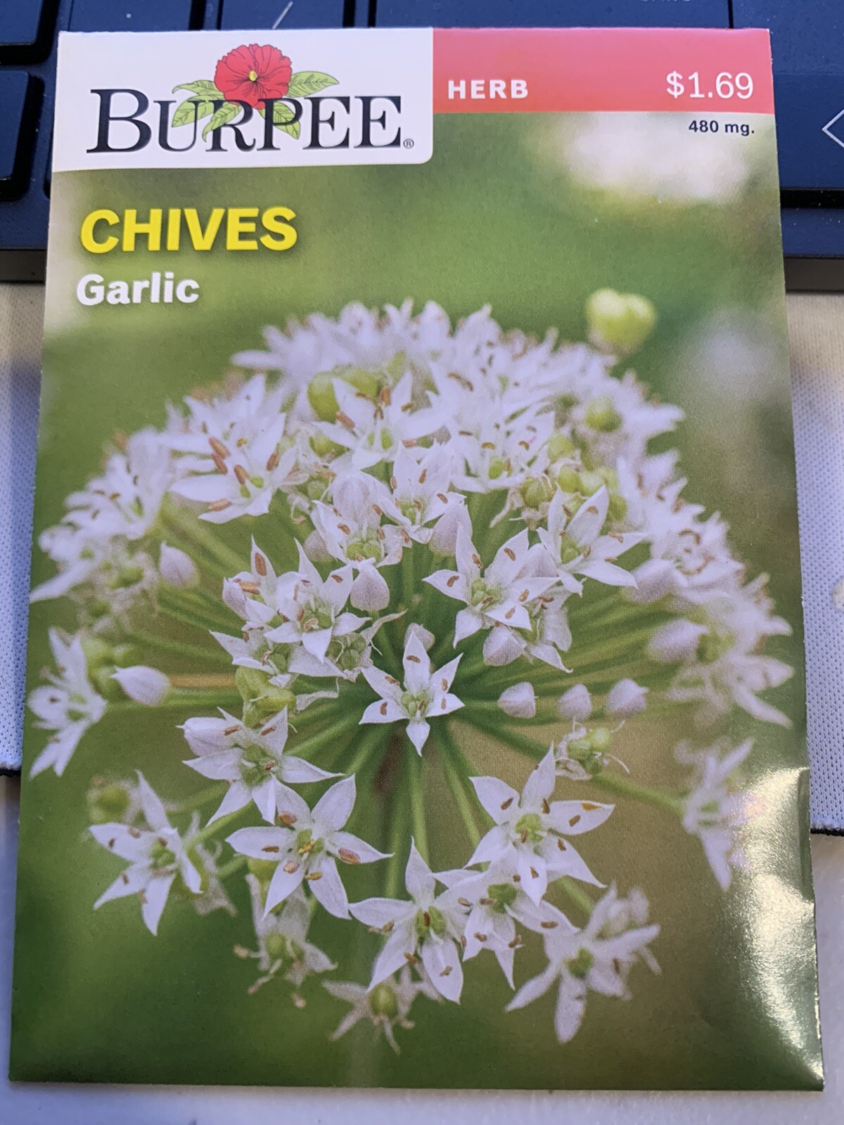 Burpee Organic Garlic Chives Herb Seed, 1-Pack 480 mg. Full Sun Tangy Zesty