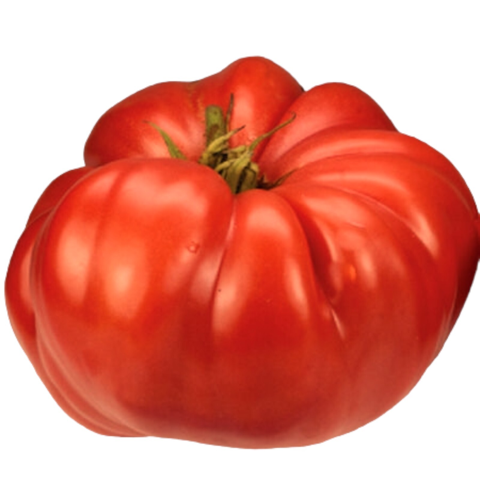 20+ German Giant Tomato Seeds | Big and Juicy |NON-GMO | Potato leaf | Heirloom