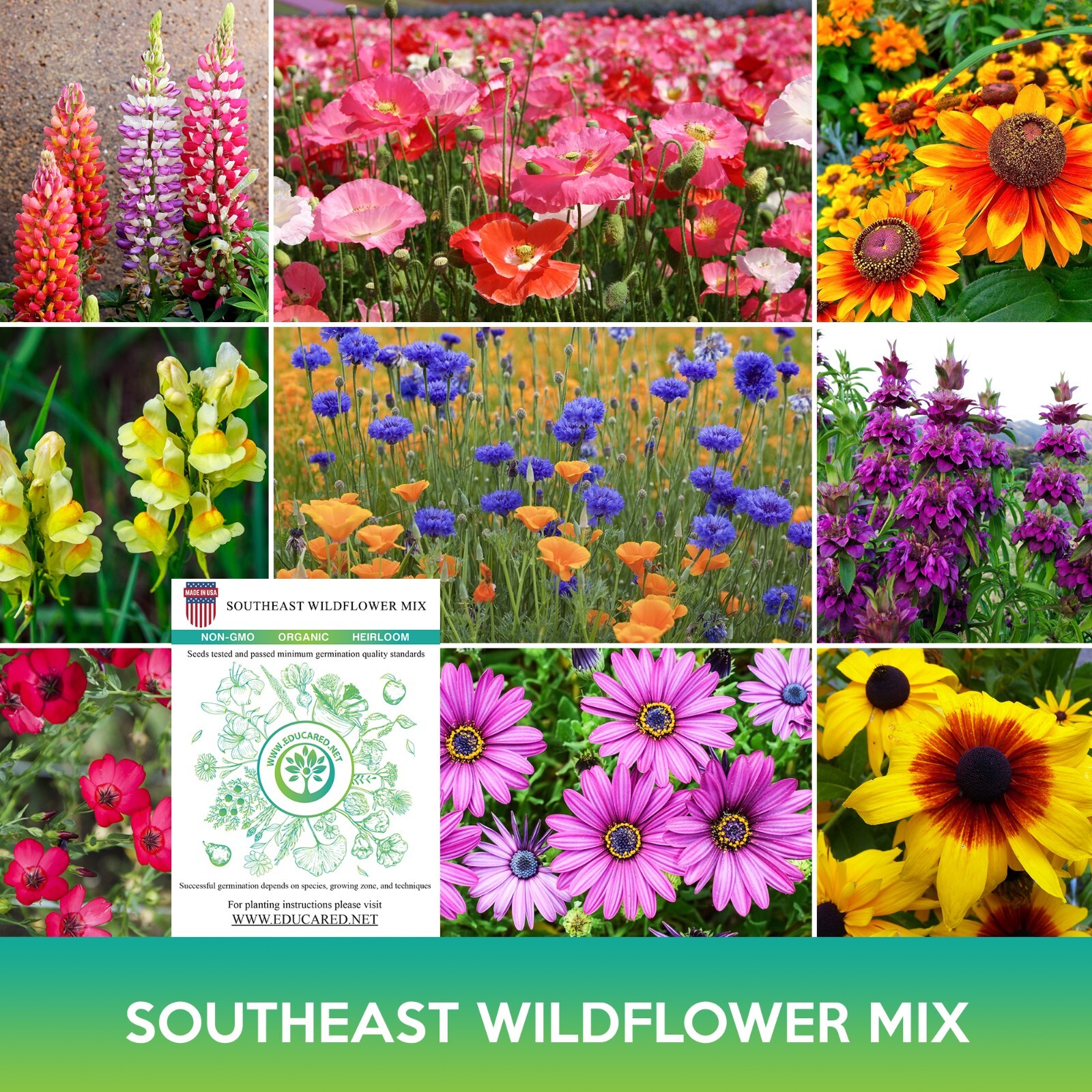 Southeast Wildflower Mix Seeds