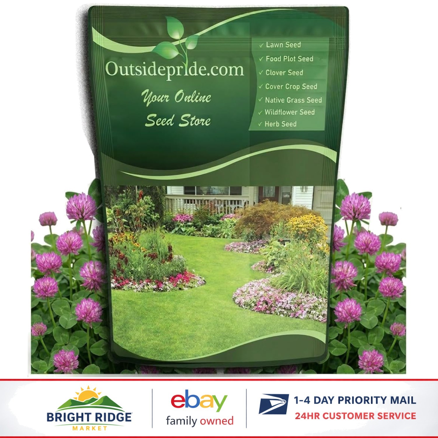 5 lbs Perennial Red Clover Seeds for Drought Tolerant Lawn & Soil Improvement