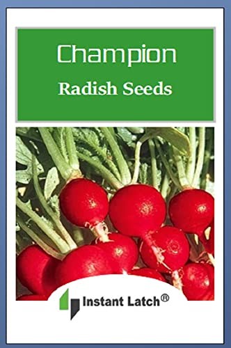 100 Champion Radish Seeds for Planting Non GMO Heirloom Seeds Fresh Vegetable