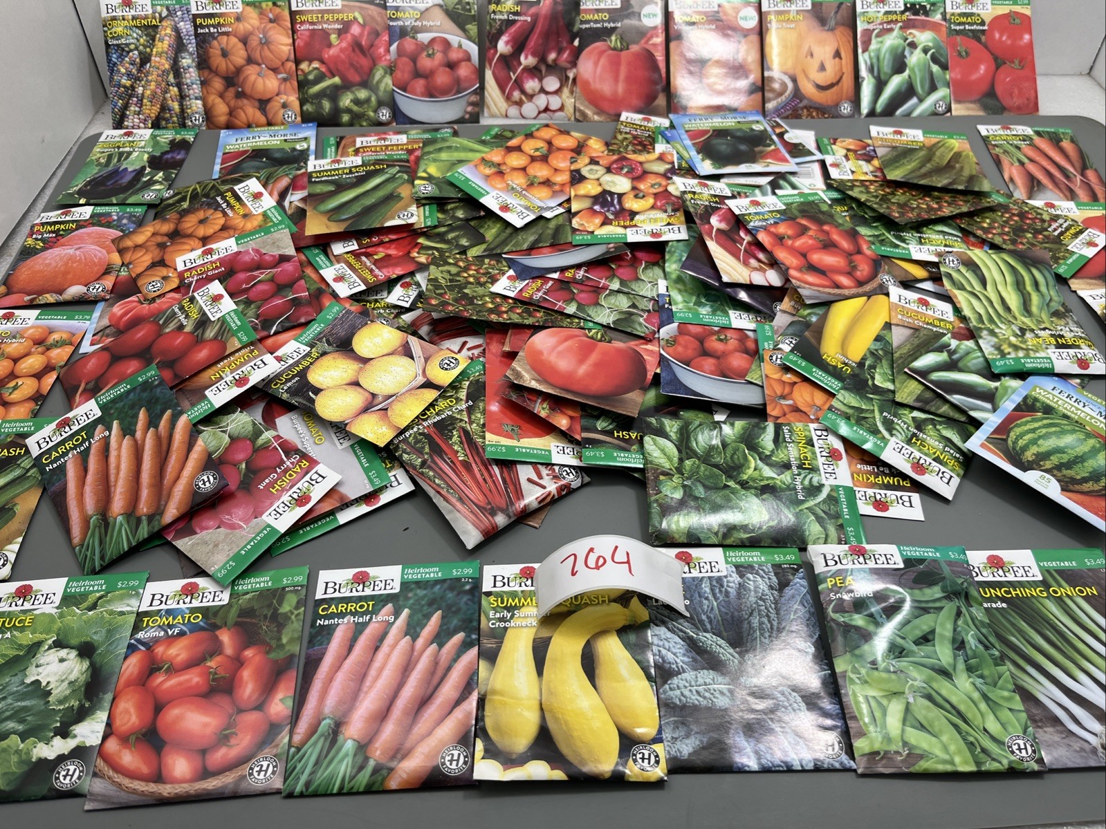 Vegetable Plant Seeds (Assorted Lot of 100) sell by 11/26 Garden supplie