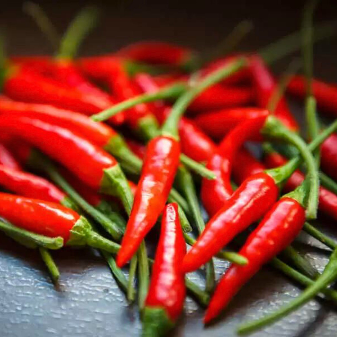 Fresh Birdseye Pepper Seeds | Wai Yee Hong | Heirloom Non-GMO | Vegetable Seeds