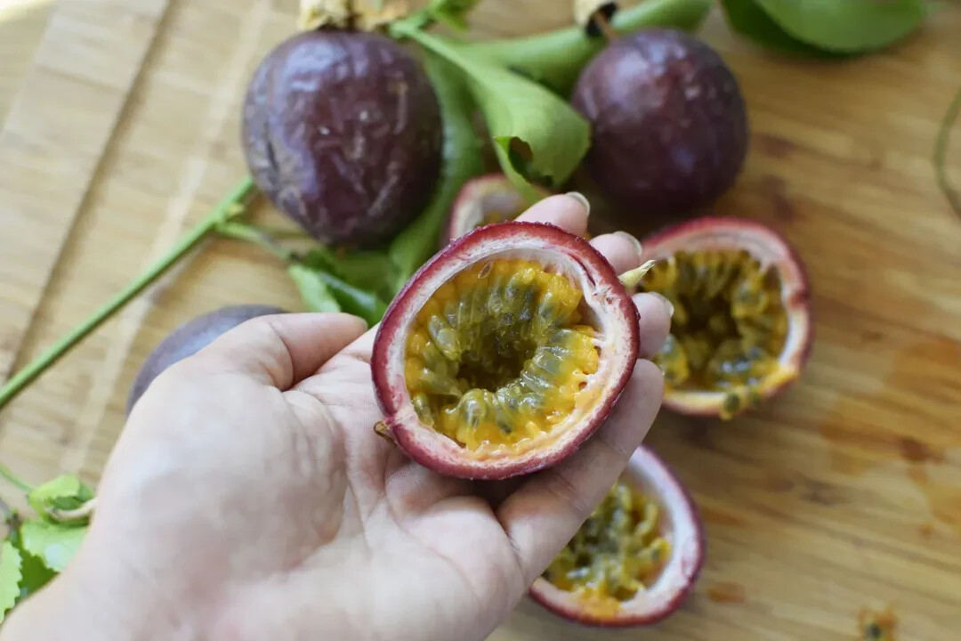 Passiflora edulis Purple Passion Fruit Seeds (20) / ORGANIC / BUTTERFLY HOST