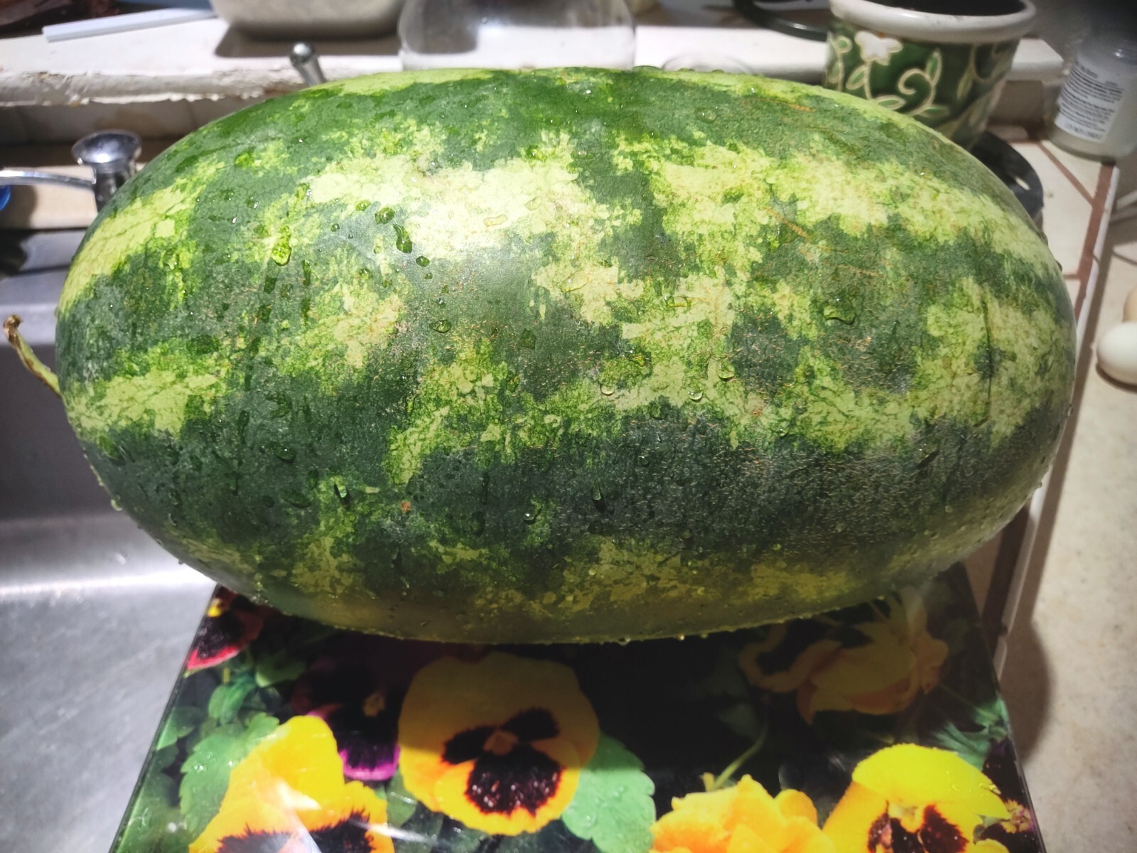 Organic Mountain Sweet Yellow Watermelon 30 Seeds