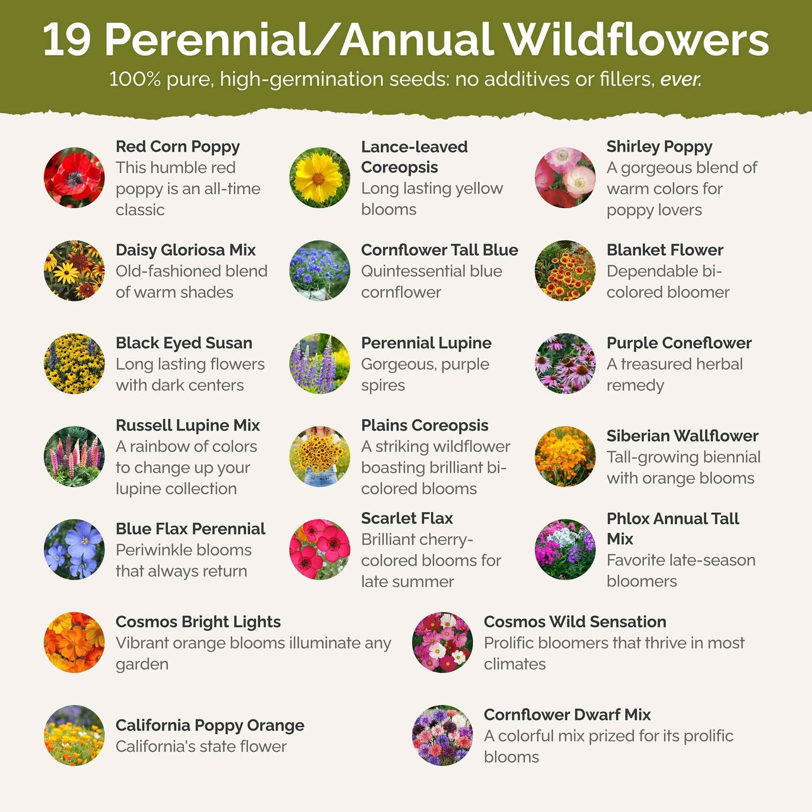 Eden Brothers Burst of Bloom Wildflower Mixed Seeds for Planting, 1/4 lb, 120…