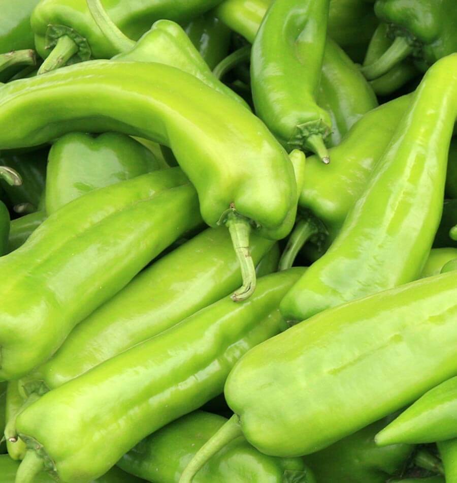 101+ANAHEIM CHILI PEPPER Seeds Organic Heirloom Vegetable Garden Container Easy